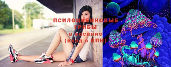 ешки Богородск